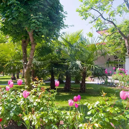 Grand Torino אבנו טרמה